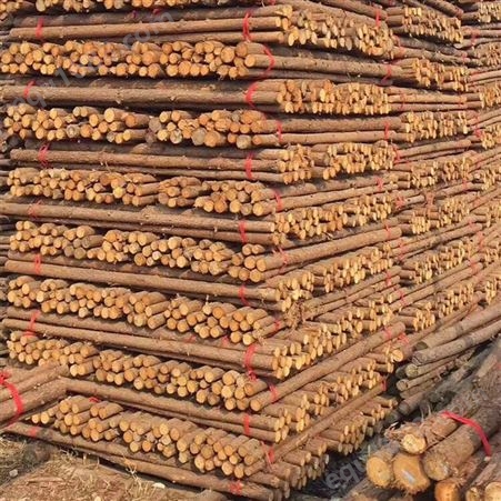 亿展木业 绿化苗木支撑杆 打桩木 优质杉木杆 源头产地 应用广泛