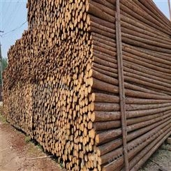 亿展木业 原木 杉木桩 耐腐蚀防变色 绿化使用寿命长