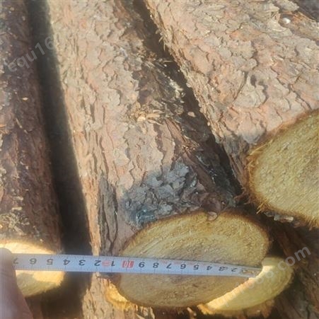 亿展木业 绿化苗木支撑杆 打桩木 优质杉木杆 源头产地 应用广泛